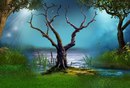 Ельвіра Юришинець фотография #5 (источник - https://vk.com/id153243566)