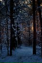 Фотография Башинского Андрея