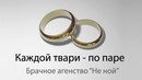 Діана Якуц фотография #43 (источник - https://vk.com/id132483001)