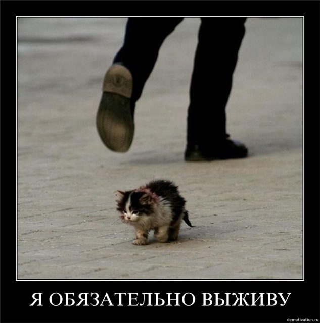 Олег Марченко фотография #4