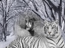 Оксана Марцинішена фотография #6 (источник - https://vk.com/id156100561)