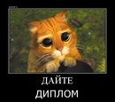 Андрій Шутка фотография #21 (источник - https://vk.com/id22502947)