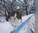 Іван Кравцов фотография #45 (источник - https://vk.com/id156424265)