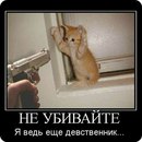 Вітя Крук фотография #36 (источник - https://vk.com/id155199690)