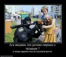 Илья Вдовіченко фотография #1