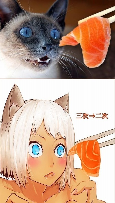 Дмитрий Филенко фотография #42