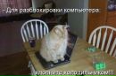 Фотография Барыкиной Татьяны