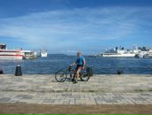 Фотография Боровикова Максима