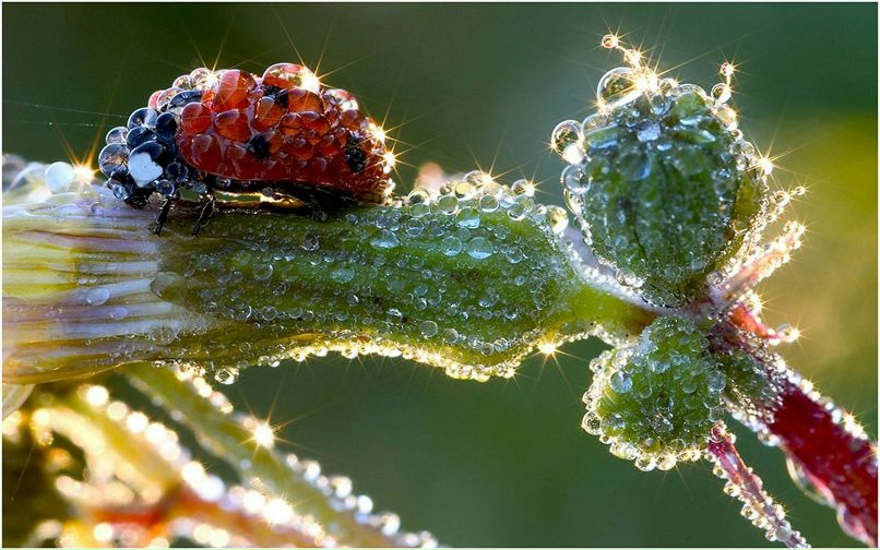 Color Print фотография #5