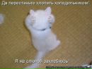 Фотография Денис Томашов
