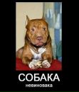 Марфоня Ганджубасівна фотография #1