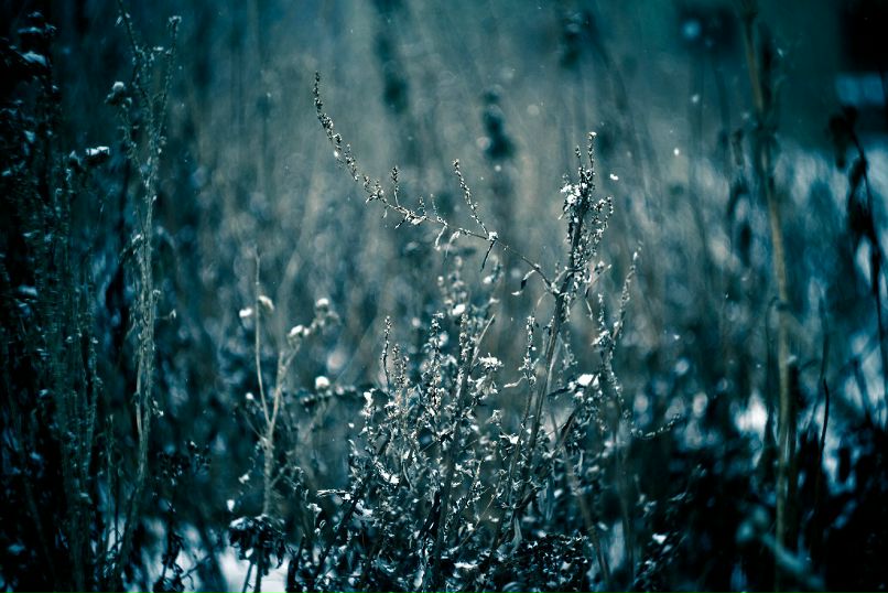 Антон Девяткин фотография #23