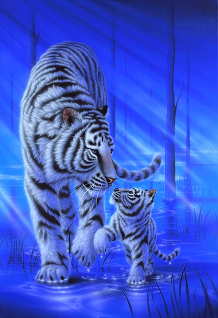 Симба Супер-Лев фотография #1