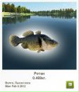 Андрій Поліщук фотография #26 (источник - https://vk.com/id155332827)