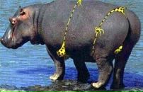 Михаил Савин фотография #29 (источник - https://vk.com/id1865273)