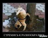 Тіма Федас фотография #24 (источник - https://vk.com/id157667946)
