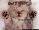 Славочка Бухарієва фотография #38 (источник - https://vk.com/id71215454)