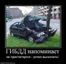 Фотография Газдаровой Анастасии