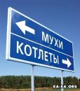 Макс Самійленко фотография #15 (источник - https://vk.com/id37559179)