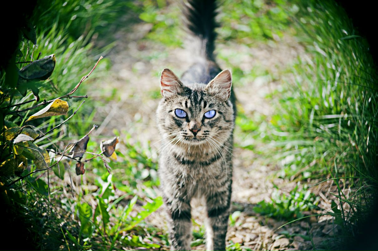 Дима Тульцев фотография #24