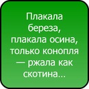 Ірина Кирилюк(синицька) фотография #19 (источник - https://vk.com/id138889467)