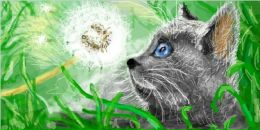 Міша Блажей фотография #33 (источник - https://vk.com/id26819437)