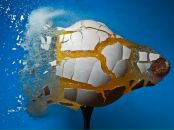 Фотография Зуева Сергея