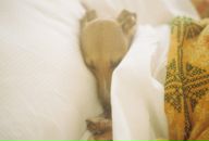 Ліля Кузік фотография #35 (источник - https://vk.com/id10807146)