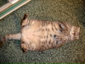 Фотография Мордвиновой Натальи