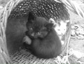 Іра Данильчук фотография #39 (источник - https://vk.com/id11106127)