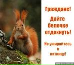 Влодко Сірий фотография #46 (источник - https://vk.com/id3605006)