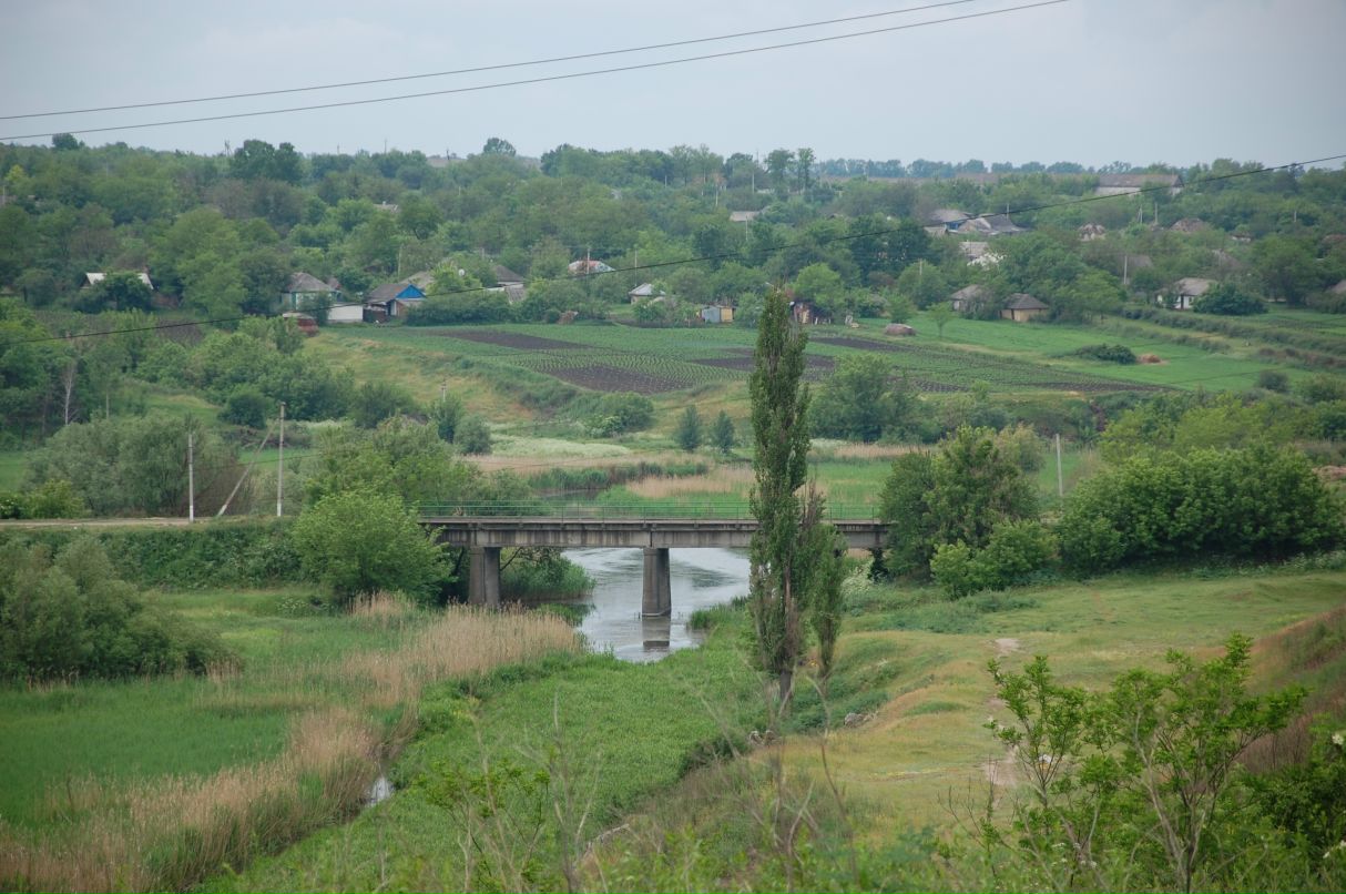 Димон Коробко фотография #46