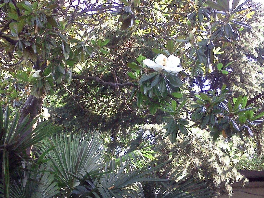 Егор Орлов фотография #44