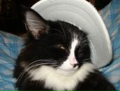 Фотография Ярандаевой Надежды