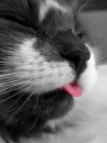 Фотография Журавлевой Иры
