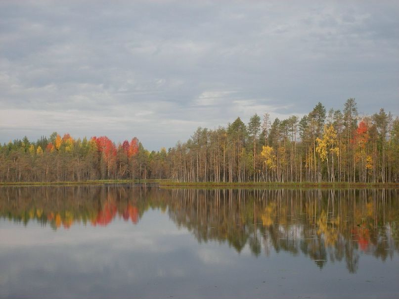 Иван Бородулин фотография #47