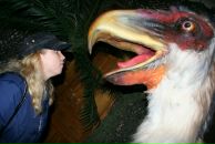 Фотография Иноземцевой Юли