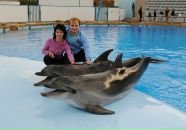 Фотография Джуляк Марина