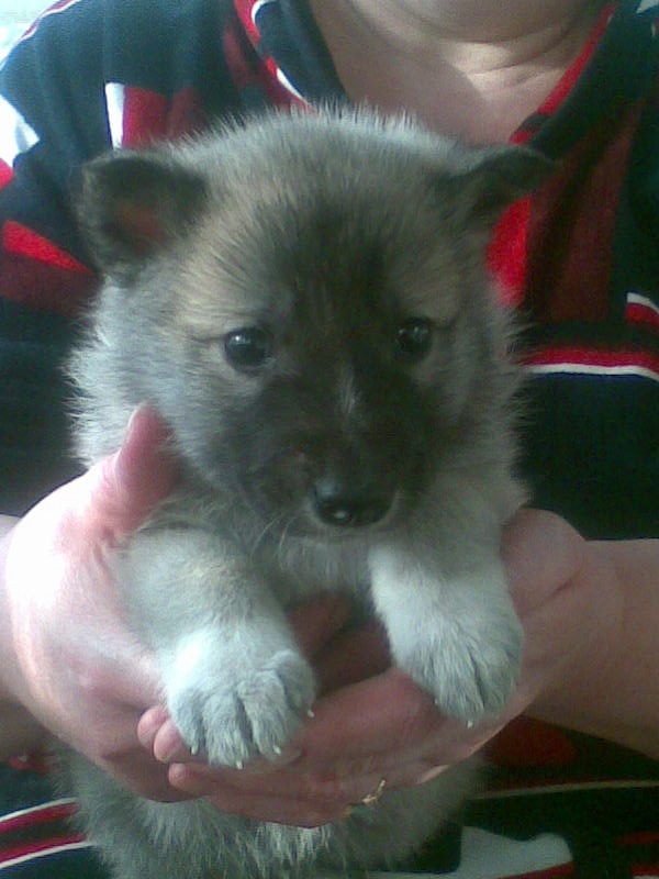 Леша Есис фотография #41