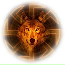 Фотография Пшеничникова-Друзьева Юлия