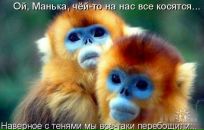 Тетяна Ігнатова фотография #44 (источник - https://vk.com/id73509291)