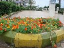 Anas Abbas фотография #2 (источник - https://vk.com/id43524667)