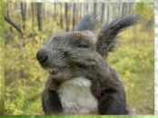 Фотография Зинченко Катерина