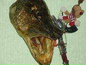 Едік Брончак фотография #5 (источник - https://vk.com/id82310322)