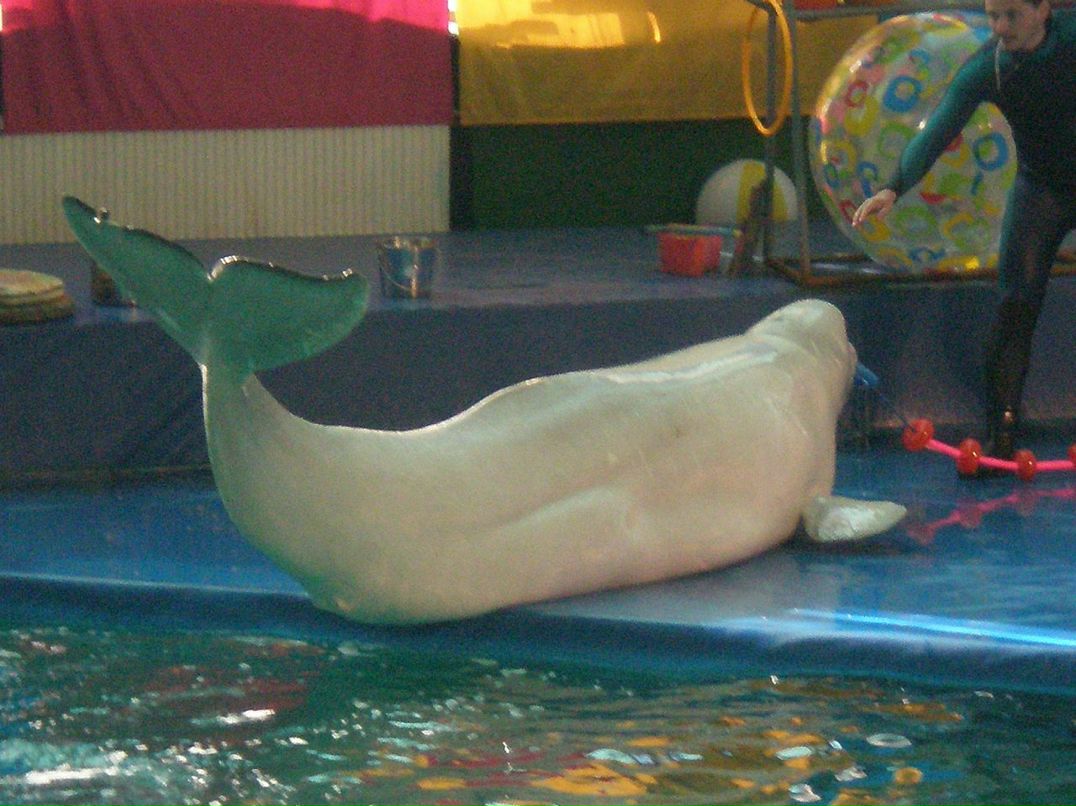 Ирина Мальцева фотография #47