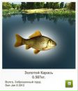 Діма Шубер фотография #30 (источник - https://vk.com/id69936999)