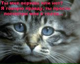 Надя Нітапчук фотография #25 (источник - https://vk.com/id64509082)