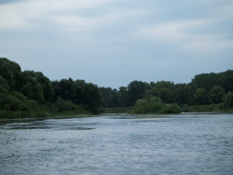 Дима Крылов фотография #47