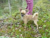 Фотография Джемилевой Наталии