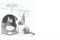 Фотография Тимофеевой Анны